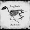 Spectrehorse image 1