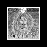 F/I/T/H - Hum of the Druid split